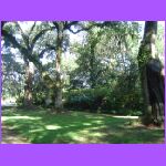 Rosedown Plantation Garden 4.jpg